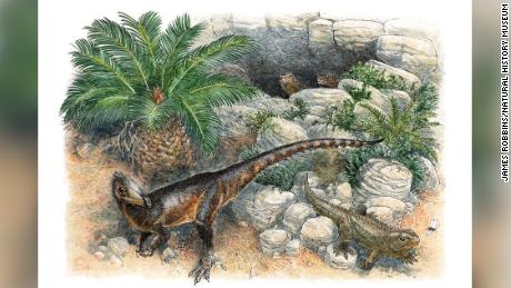 Dinky Dinky był najmłodszym w swoim rodzaju, kiedy wędrował po Walii 200 milionów lat temu