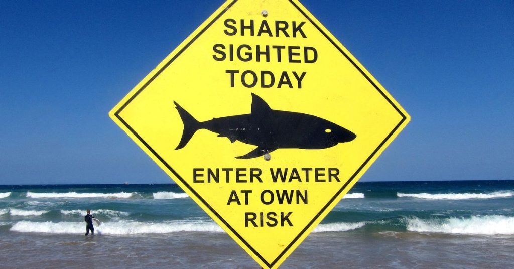 Plaże w Sydney są zamknięte po pierwszym śmiertelnym ataku rekinów od 60 lat
