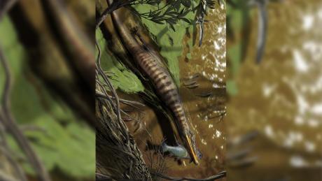 Ilustracja przedstawiająca Baryonyx walkeri, spinozaura z Wielkiej Brytanii, polującego i karmiącego.