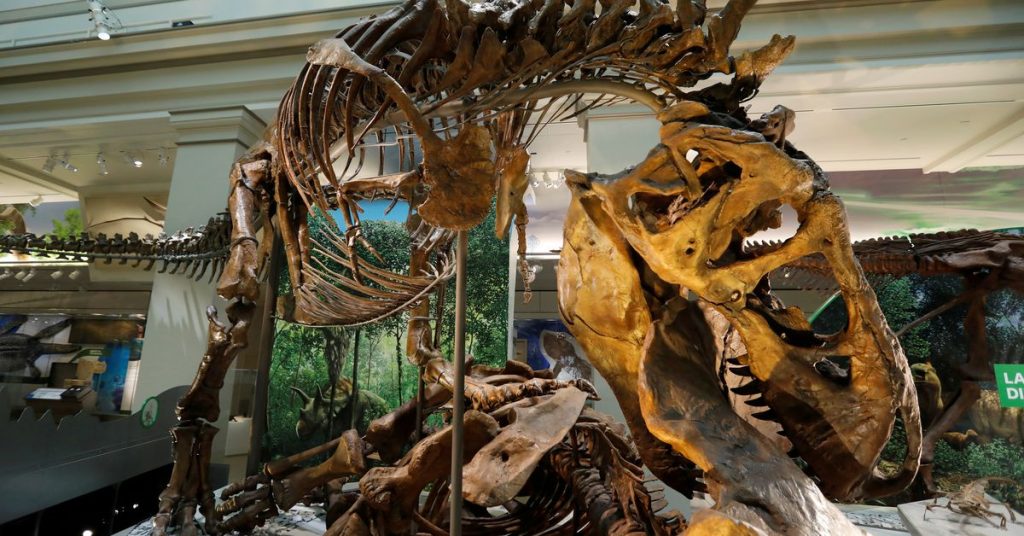 Naukowcy sugerują, że tyranozaur miał trzy gatunki, nie tylko „Rex”