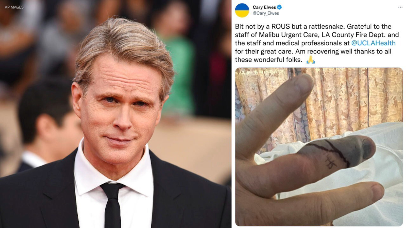 Aktorka „Narzeczonej księżniczki” Carrie Elwes dochodzi do siebie po ugryzieniu grzechotnika w Malibu