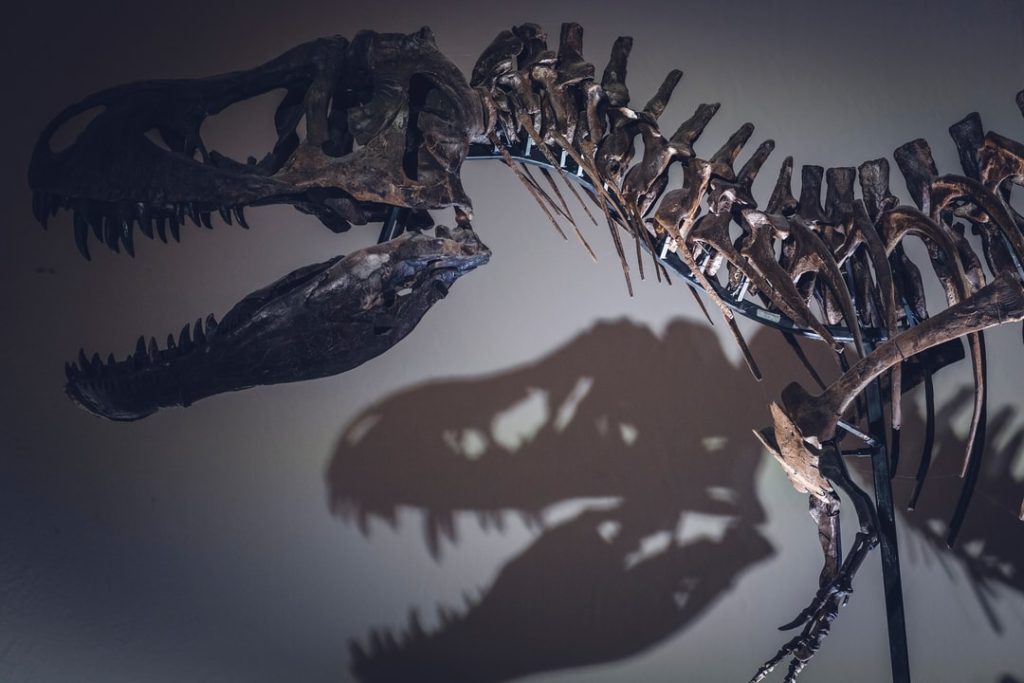 Paleontolog z Uniwersytetu Kalifornijskiego w Berkeley przedstawia nową teorię, dlaczego T. Rexes miał tak małą broń