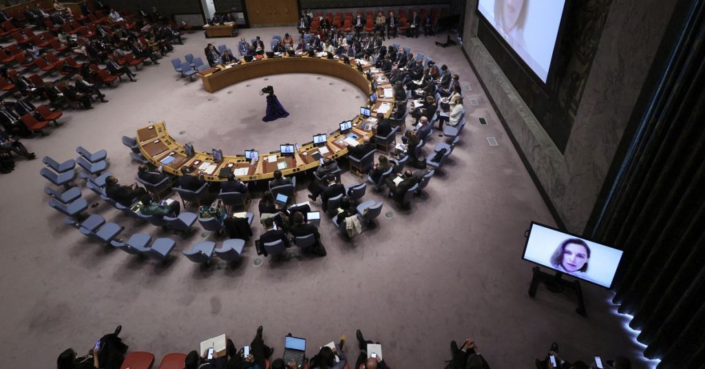Rada Bezpieczeństwa ONZ, w tym Rosja, wyraża zaniepokojenie Ukrainą