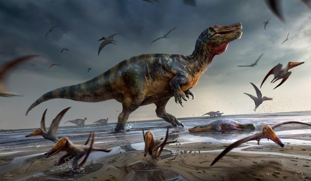 Odkrycie największego drapieżnego dinozaura w Europie na wyspie Wight