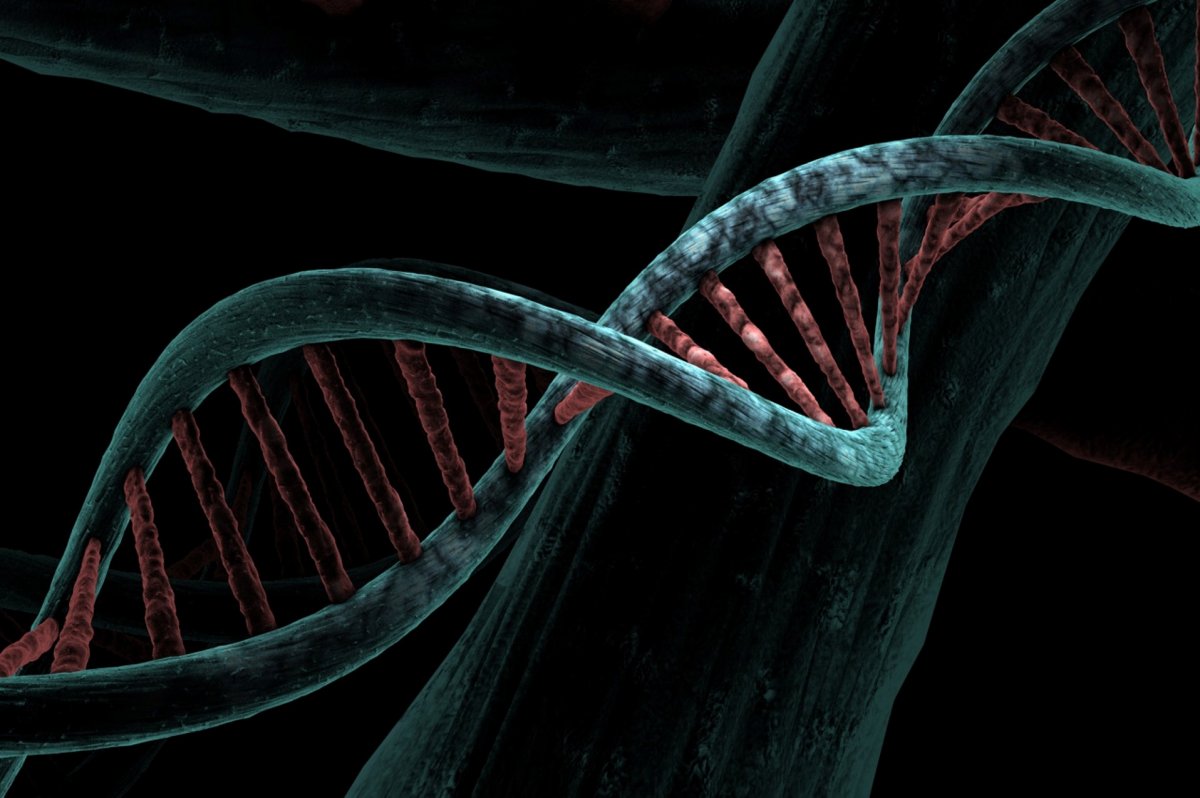 Wczesne DNA ujawnia dwie odrębne populacje w Wielkiej Brytanii po ostatniej epoce lodowcowej