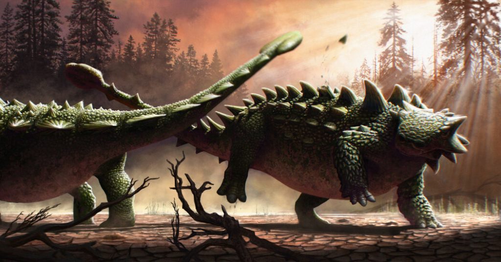Maczuga z ogona Ankylosaura nie tylko wymachiwała T. Rexem